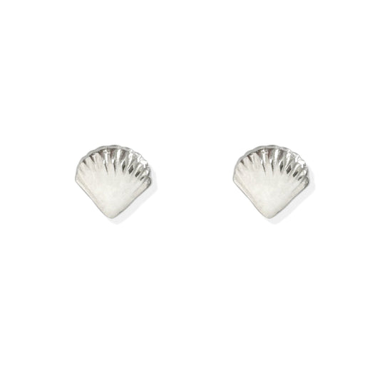 HOLLY DAINTY SILVER SEA SHELL STUD EARRINGS